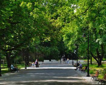 Rewitalizacja Parku Bednarskiego w Krakowie